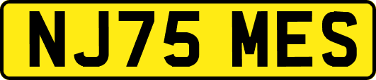 NJ75MES
