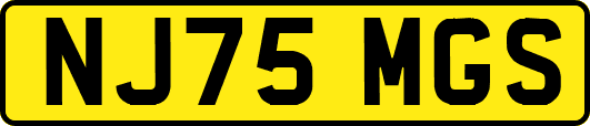 NJ75MGS