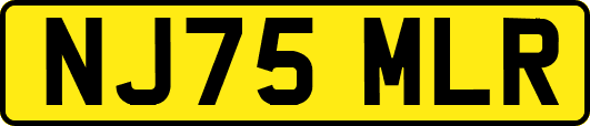 NJ75MLR