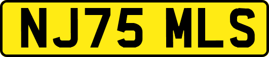 NJ75MLS