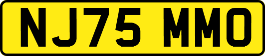 NJ75MMO