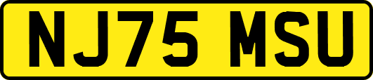 NJ75MSU