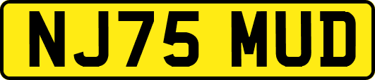 NJ75MUD