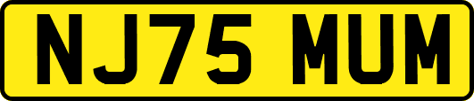 NJ75MUM