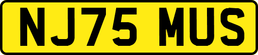 NJ75MUS