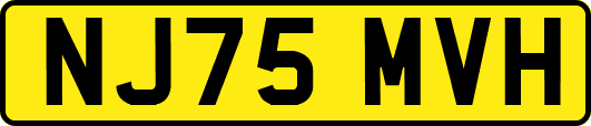 NJ75MVH