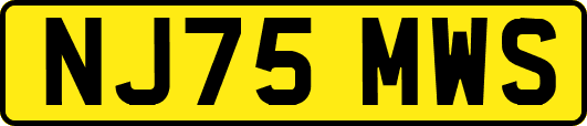 NJ75MWS