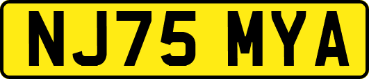 NJ75MYA