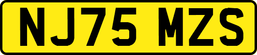 NJ75MZS