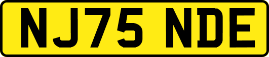 NJ75NDE