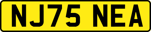 NJ75NEA