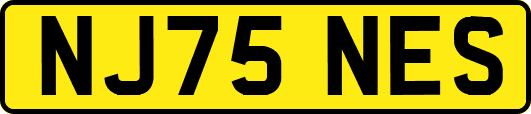 NJ75NES