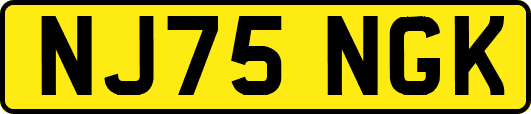NJ75NGK