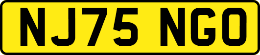 NJ75NGO