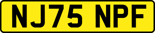 NJ75NPF
