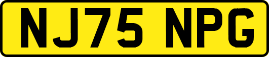 NJ75NPG