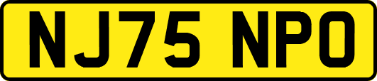 NJ75NPO