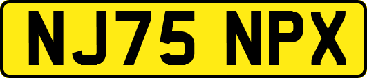 NJ75NPX