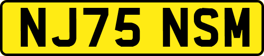 NJ75NSM