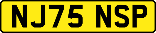 NJ75NSP