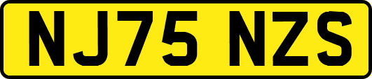 NJ75NZS