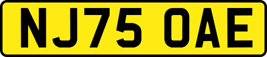 NJ75OAE