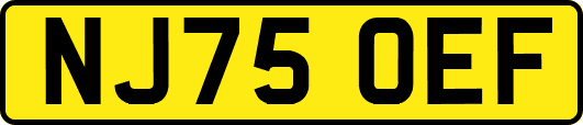NJ75OEF