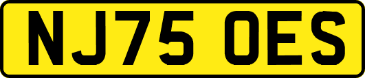 NJ75OES