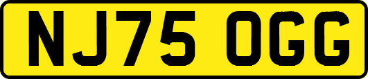 NJ75OGG