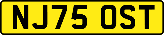 NJ75OST