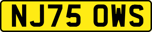 NJ75OWS