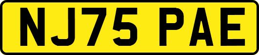 NJ75PAE
