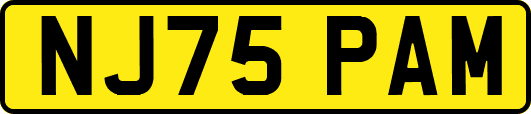 NJ75PAM