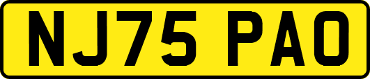 NJ75PAO
