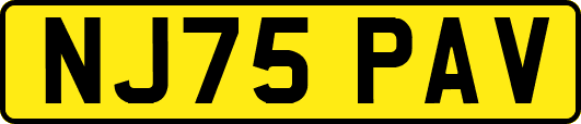 NJ75PAV