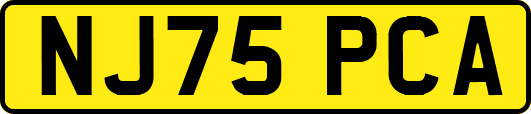 NJ75PCA