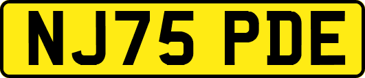 NJ75PDE