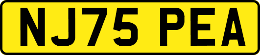 NJ75PEA