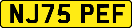 NJ75PEF
