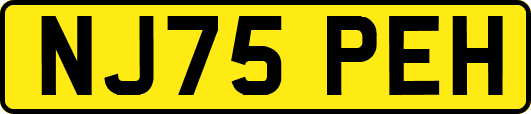 NJ75PEH