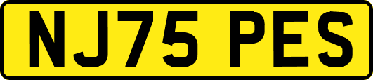 NJ75PES