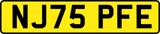 NJ75PFE