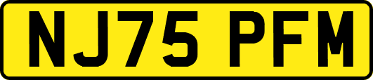 NJ75PFM