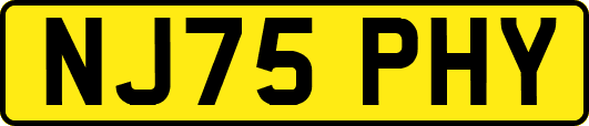 NJ75PHY