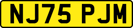 NJ75PJM
