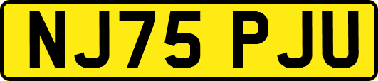 NJ75PJU