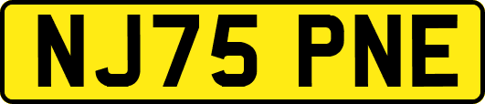 NJ75PNE