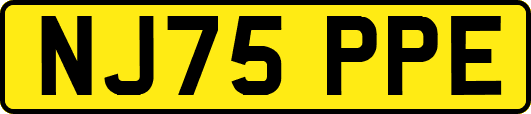 NJ75PPE