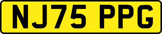NJ75PPG