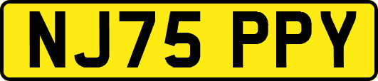 NJ75PPY